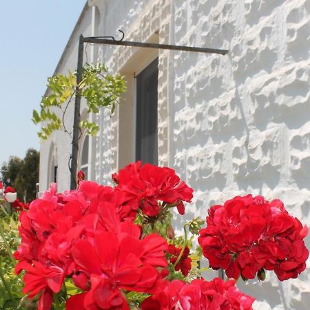 B&B Stella Marina Manfredonia Ngoại thất bức ảnh